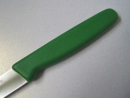 paring-knife-4-inches-11cm-in-haccp-green-from-sanelli-ambrogio-s-supra-range-[2]-285-p.jpg
